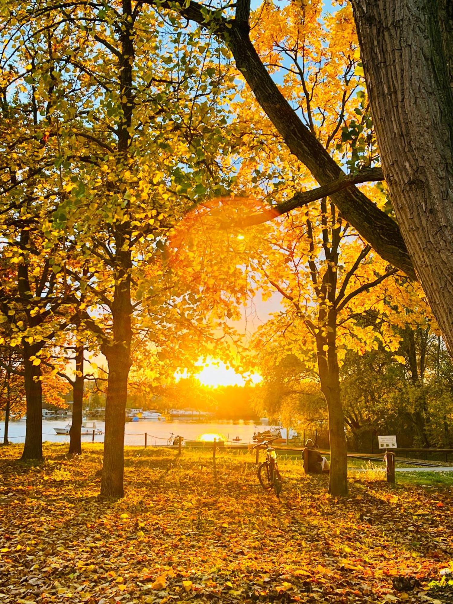 Schoene Aussichten Mitten In Berlin - Il Sole Ngoại thất bức ảnh